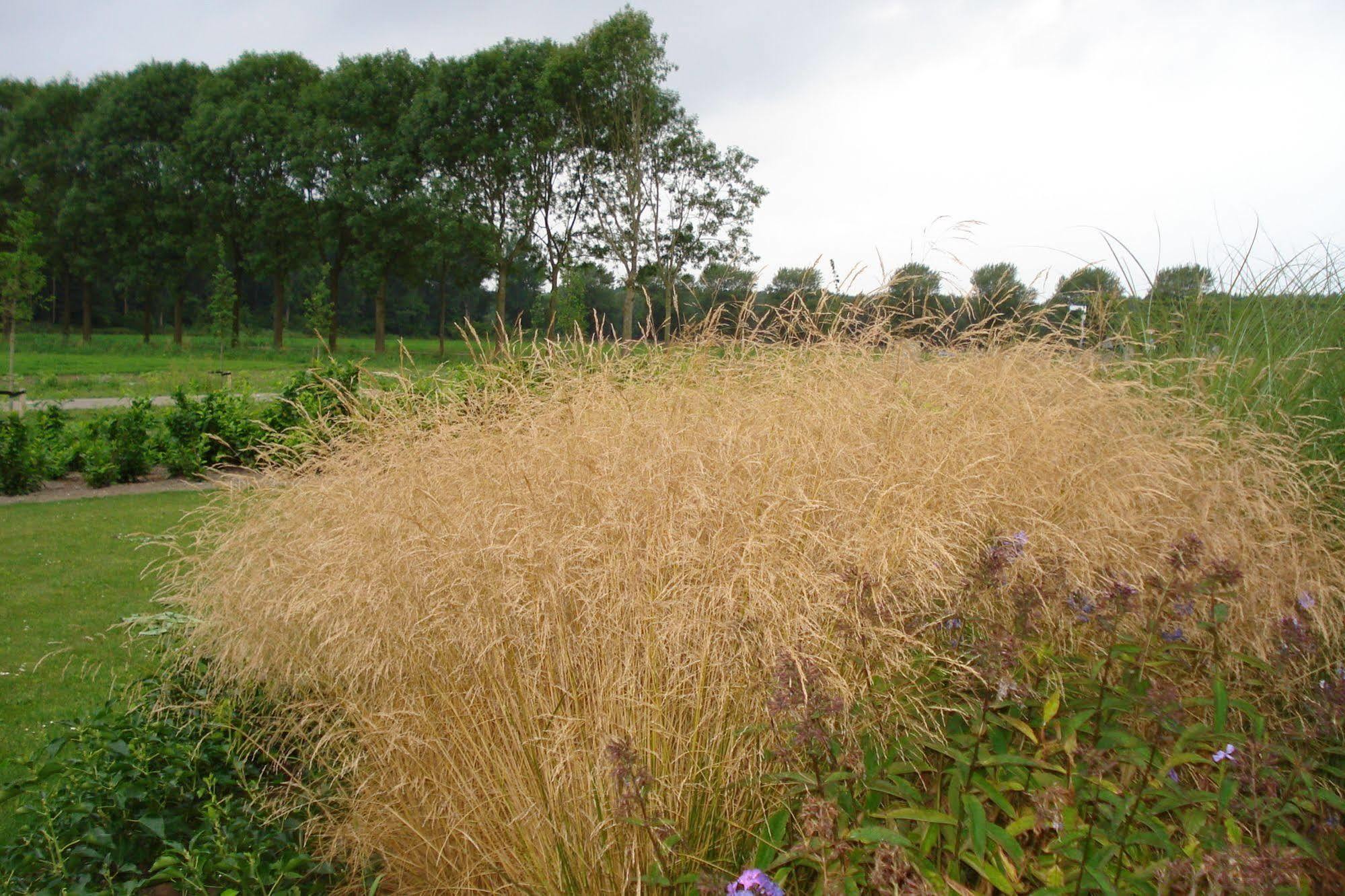 Lodgerie Het Groene Geheim Almere Exterior foto